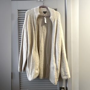 J. Crew Point Sur Teddy Sweater